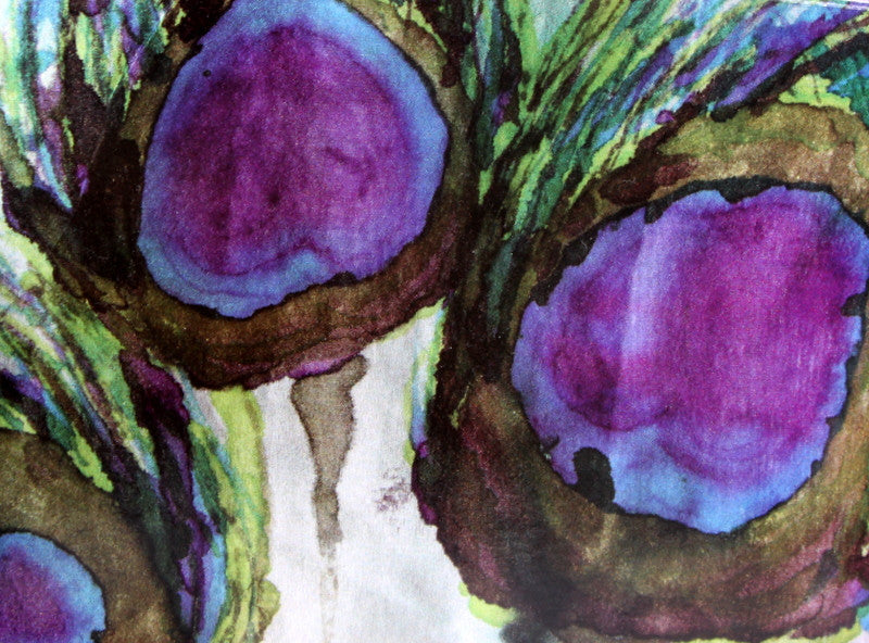 Peacock Feather Print Note Cards